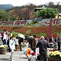 2006陽明山花季