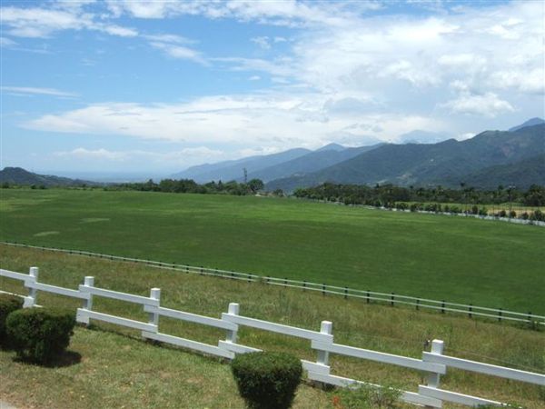 綠油油草地