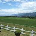 綠油油草地