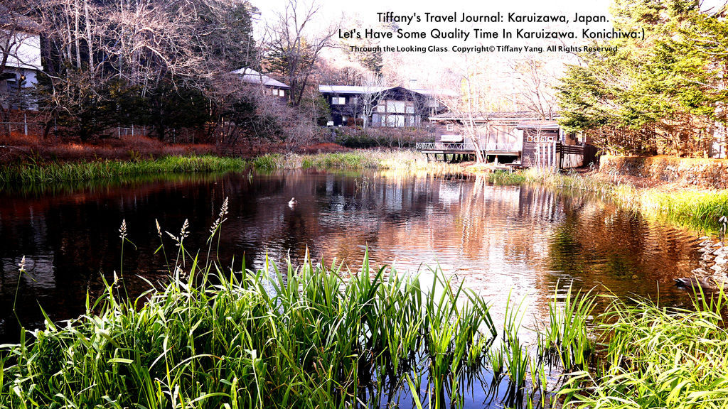 pond2P1280979_Fotor