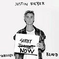 justin-bieber-sorry4.jpg