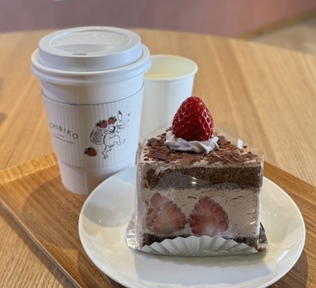 東京世田谷 | 在陽光裡散步的貓咪日常 🐾🍓