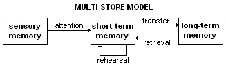 Multistore_model.jpg