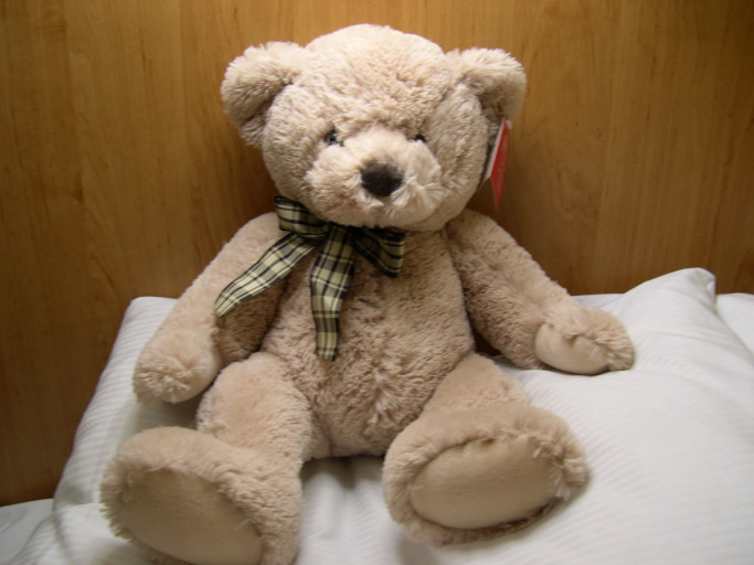 小熊 小熊