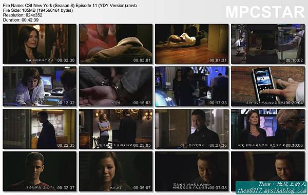 CSI New York (Season 8) Episode 11 (YDY Version)_20120121-20180206.jpg