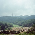 88700014