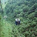 88700021