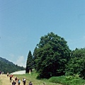 88720002