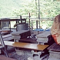 88720024