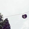88730017