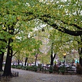 Public Garden