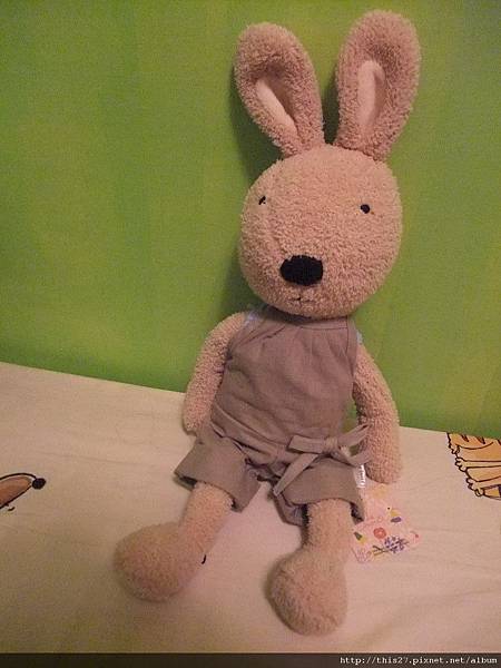 我的法國兔"大頭" :)