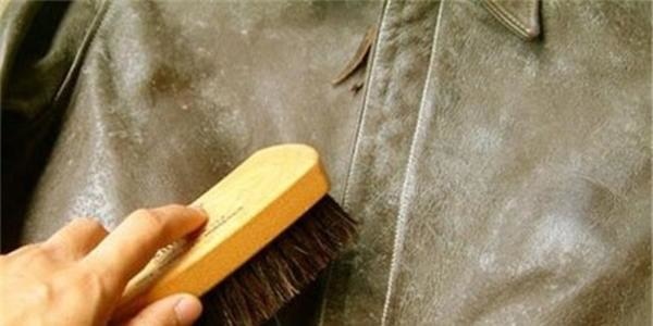 2p39000446npnr7q97r1 2p39000446npnr7q97r1