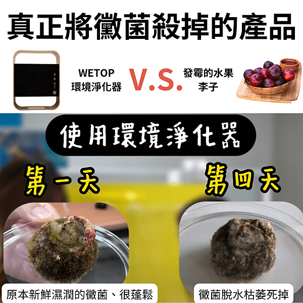 酒精消毒也能除霉?殺黴菌才能把房間霉味去除 酒精消毒也能除霉?殺黴菌才能把房間霉味去除