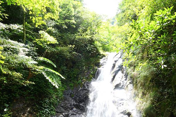 20240730-三芝內柑宅古道--紅葉谷瀑布