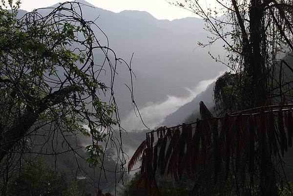 20160313-南庄小旅行-賽夏族