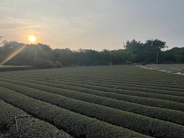 20250501-09白沙屯媽祖帶我小旅行