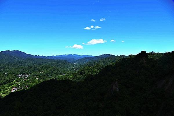 20250821-孝子山艷紅鹿子百合