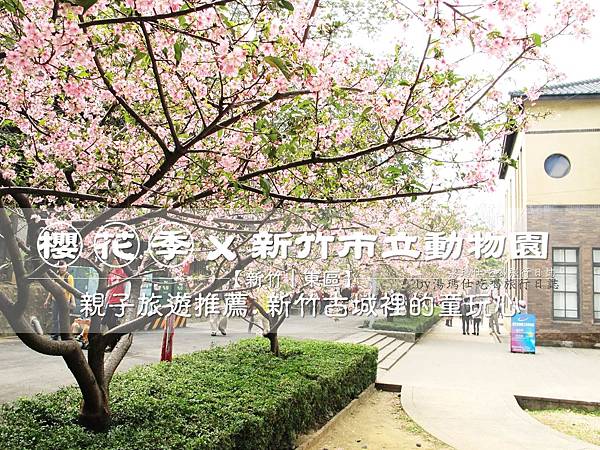 新竹市立動物園,新竹賞櫻,麗池文化祭,春節親子景點_01