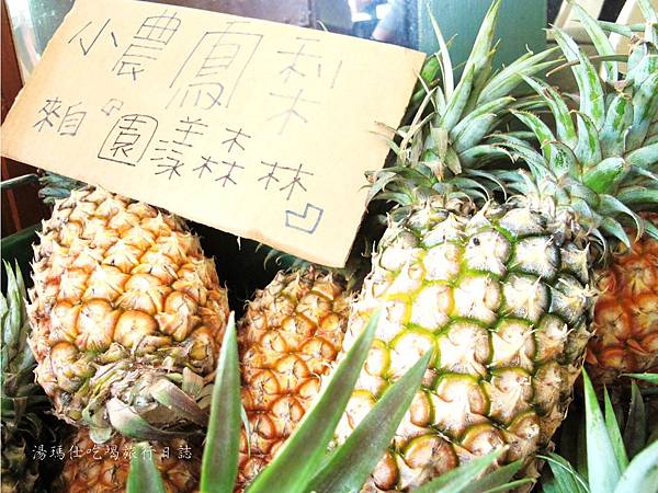 高雄好吃鳳梨,台灣有機鳳梨,高雄型農,鳳梨團購,園漾森林鳳梨_02 高雄好吃鳳梨,台灣有機鳳梨,高雄型農,鳳梨團購,園漾森林鳳梨_02
