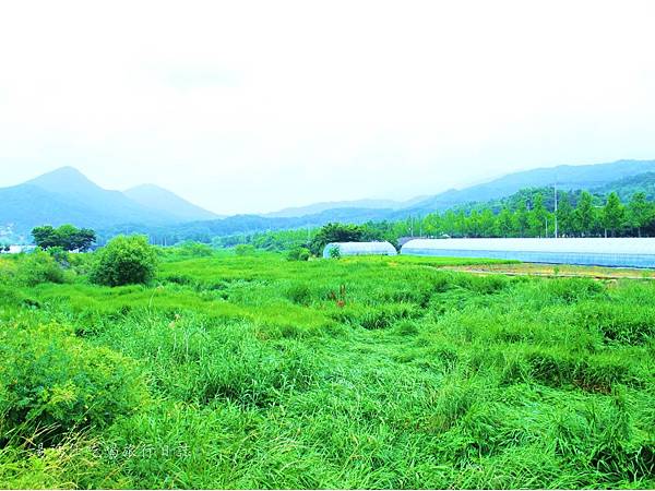 韓國景點,釜山景點,구암팜스테이마을,大邱龜岩,八公山,韓國大邱農村體驗_12