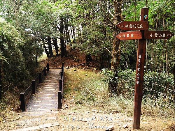 大雪山,台中景點,雪生神木,木馬道,小雪山登山_15