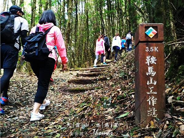 大雪山,台中景點,雪生神木,木馬道,小雪山登山_08