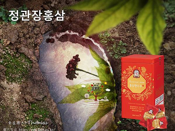 2017韓國必買,2017韓國購物指南,首爾自行行必買_10 2017韓國必買,2017韓國購物指南,首爾自行行必買_10