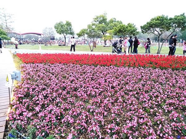 花在彰化,2018彰化旅遊,溪州公園_07.JPG 花在彰化,2018彰化旅遊,溪州公園_07.JPG