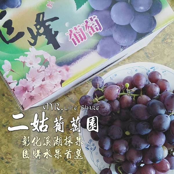 二姑葡萄園,彰化採果,溪湖葡萄,葡萄宅配_1.JPG 二姑葡萄園,彰化採果,溪湖葡萄,葡萄宅配_1.JPG