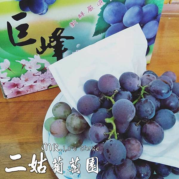 二姑葡萄園,彰化採果,溪湖葡萄,葡萄宅配_5.JPG 二姑葡萄園,彰化採果,溪湖葡萄,葡萄宅配_5.JPG