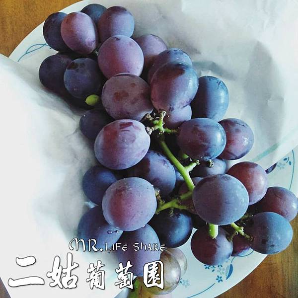 二姑葡萄園,彰化採果,溪湖葡萄,葡萄宅配_4.JPG 二姑葡萄園,彰化採果,溪湖葡萄,葡萄宅配_4.JPG