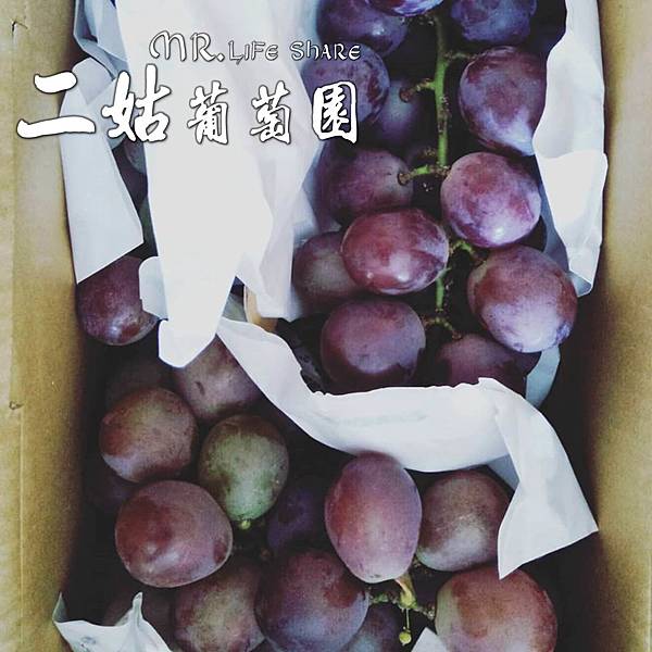 二姑葡萄園,彰化採果,溪湖葡萄,葡萄宅配_3.JPG 二姑葡萄園,彰化採果,溪湖葡萄,葡萄宅配_3.JPG