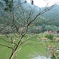 明池1.JPG