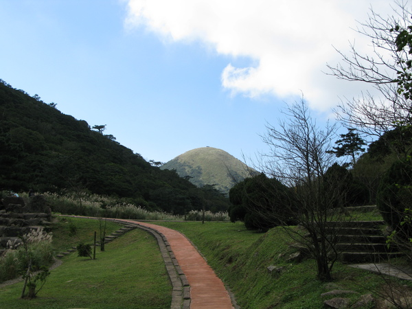 面天山