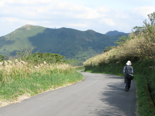 大屯主峰下去的路