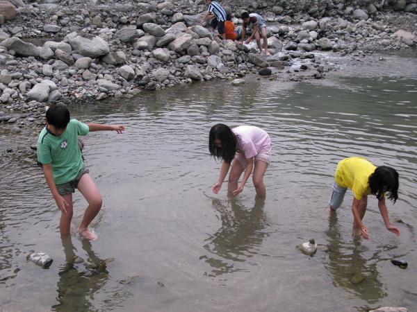 采廣,存愛,若妤
