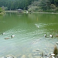 明池4.JPG