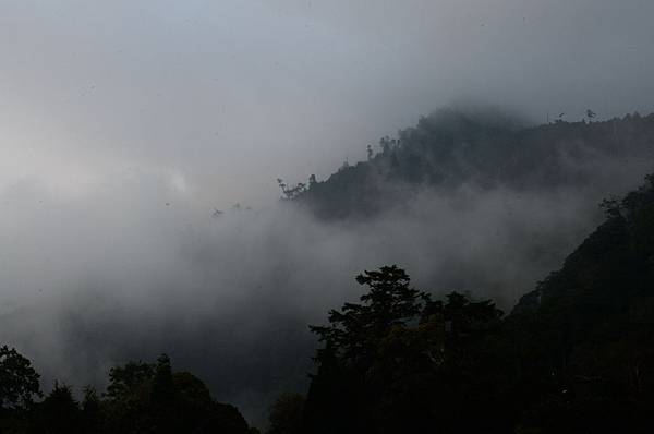 大雪山林道__6.JPG