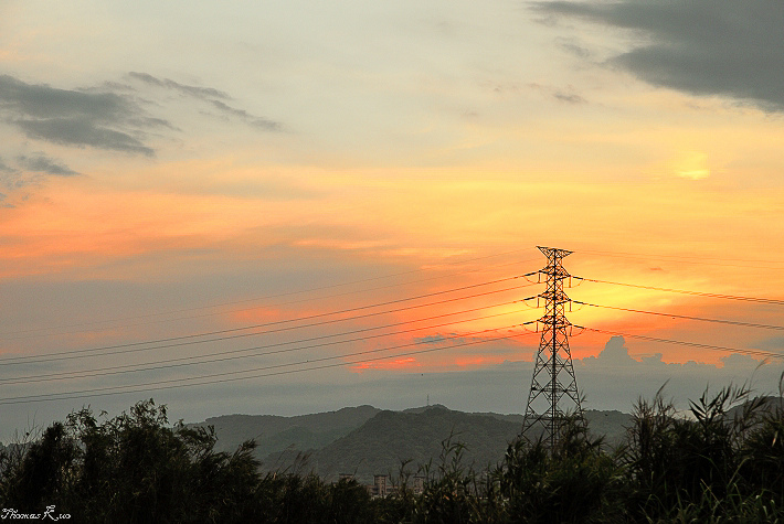 2012 土城溼地_038.JPG