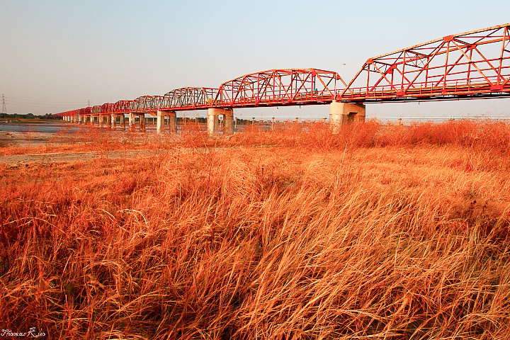 2012 西螺大橋_002.JPG