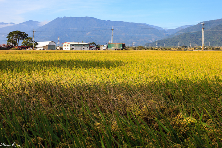 2013-10 花東_001.JPG 2013-10 花東_001.JPG