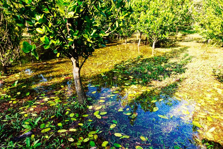 2014-1 石門水庫_001.JPG 2014-1 石門水庫_001.JPG