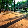 2013-3 青年公園_016.JPG