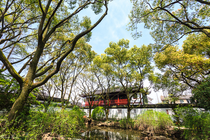 2013-3 上海醉白池_001.JPG 2013-3 上海醉白池_001.JPG