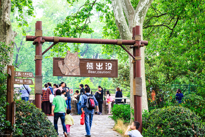 2013-4 上海動物園_001.JPG 2013-4 上海動物園_001.JPG