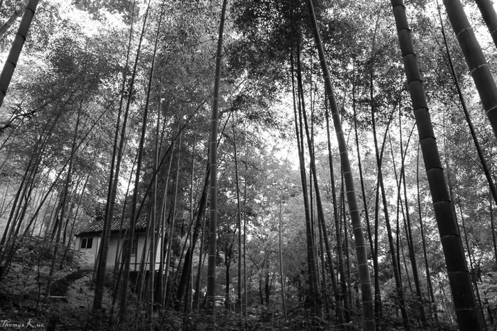 2011-6 佘山_001.JPG 2011-6 佘山_001.JPG
