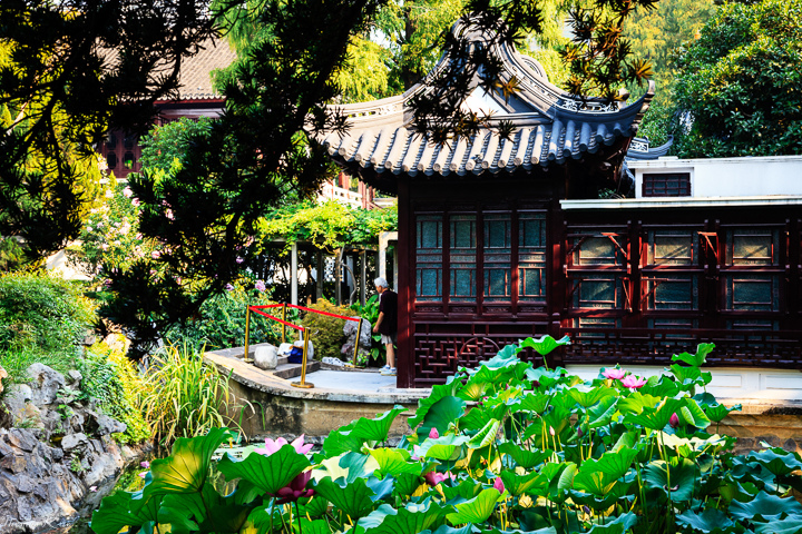 2013-8 桂林公園_014.JPG 2013-8 桂林公園_014.JPG