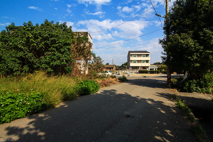 IMG_5317-編輯.JPG IMG_5317-編輯.JPG