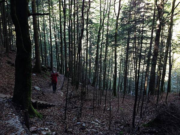 &ccedil;&hellip;&sect;&ccedil;&permil;&Dagger; 1